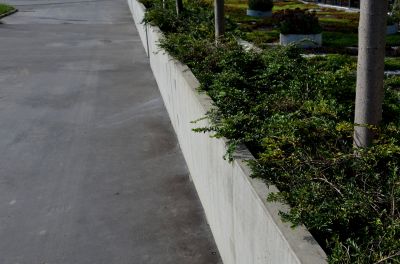 Continuous Concrete Curbing